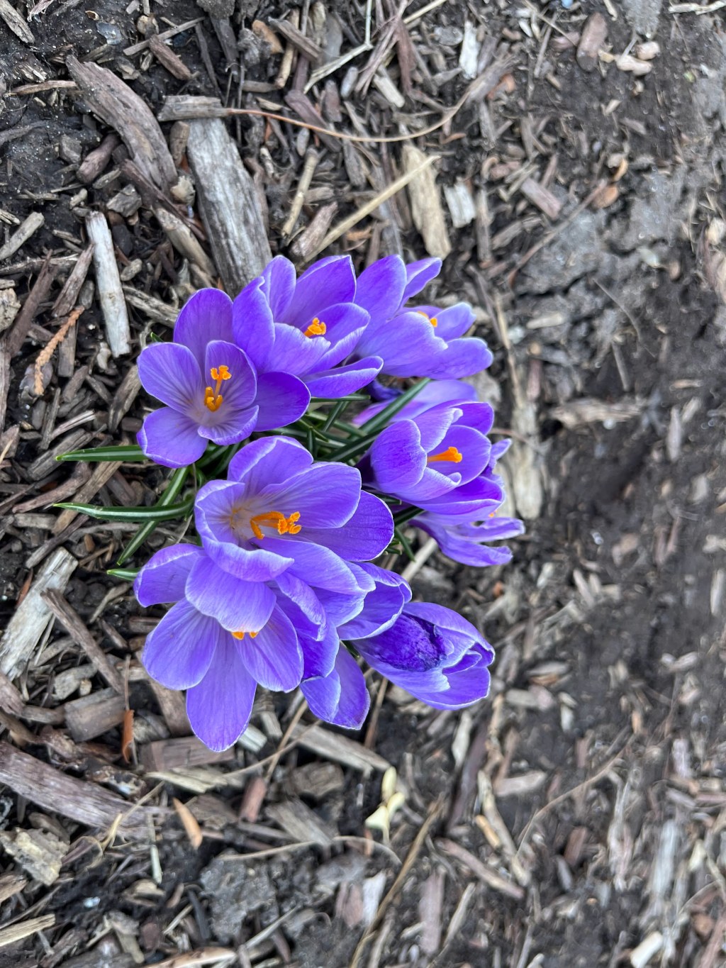 Embracing Divine Trust on the Journey of&nbsp;Grief