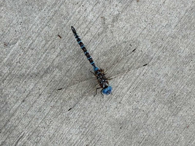 Impending Doom and Enduring&nbsp;Hope