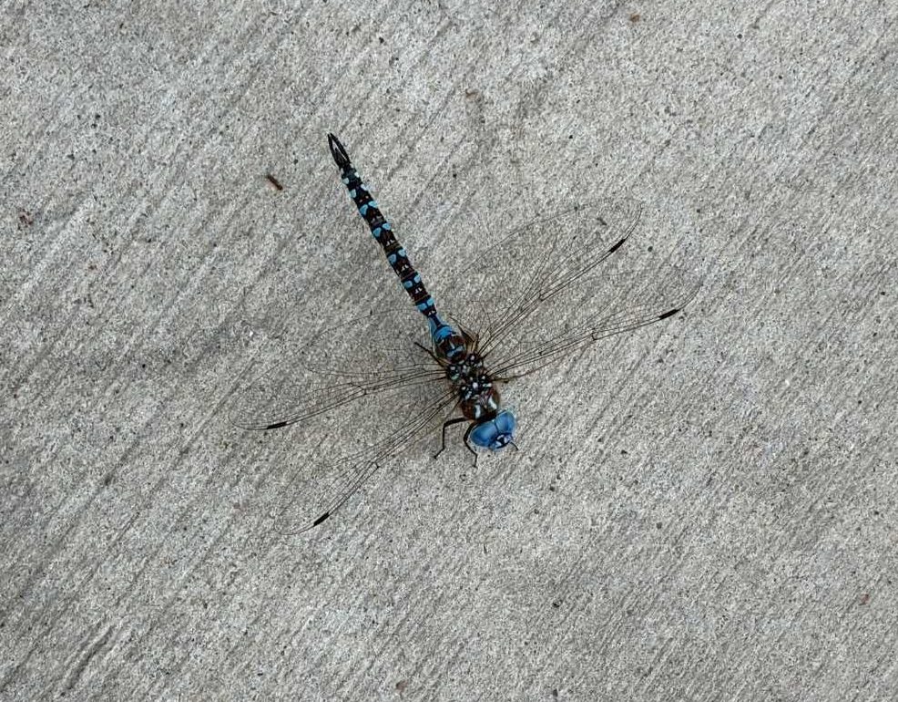 Impending Doom and Enduring&nbsp;Hope